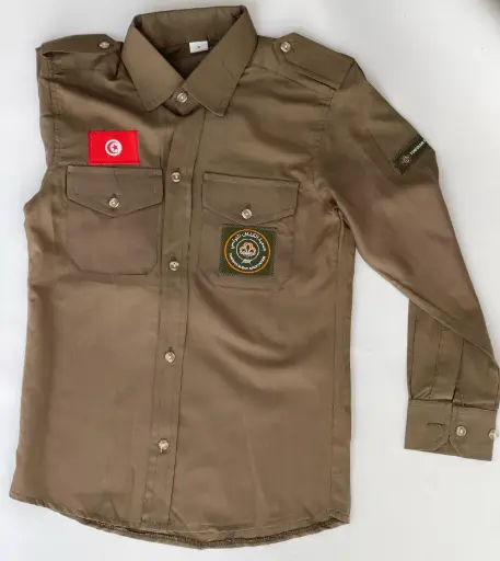 آلزي الرسمي